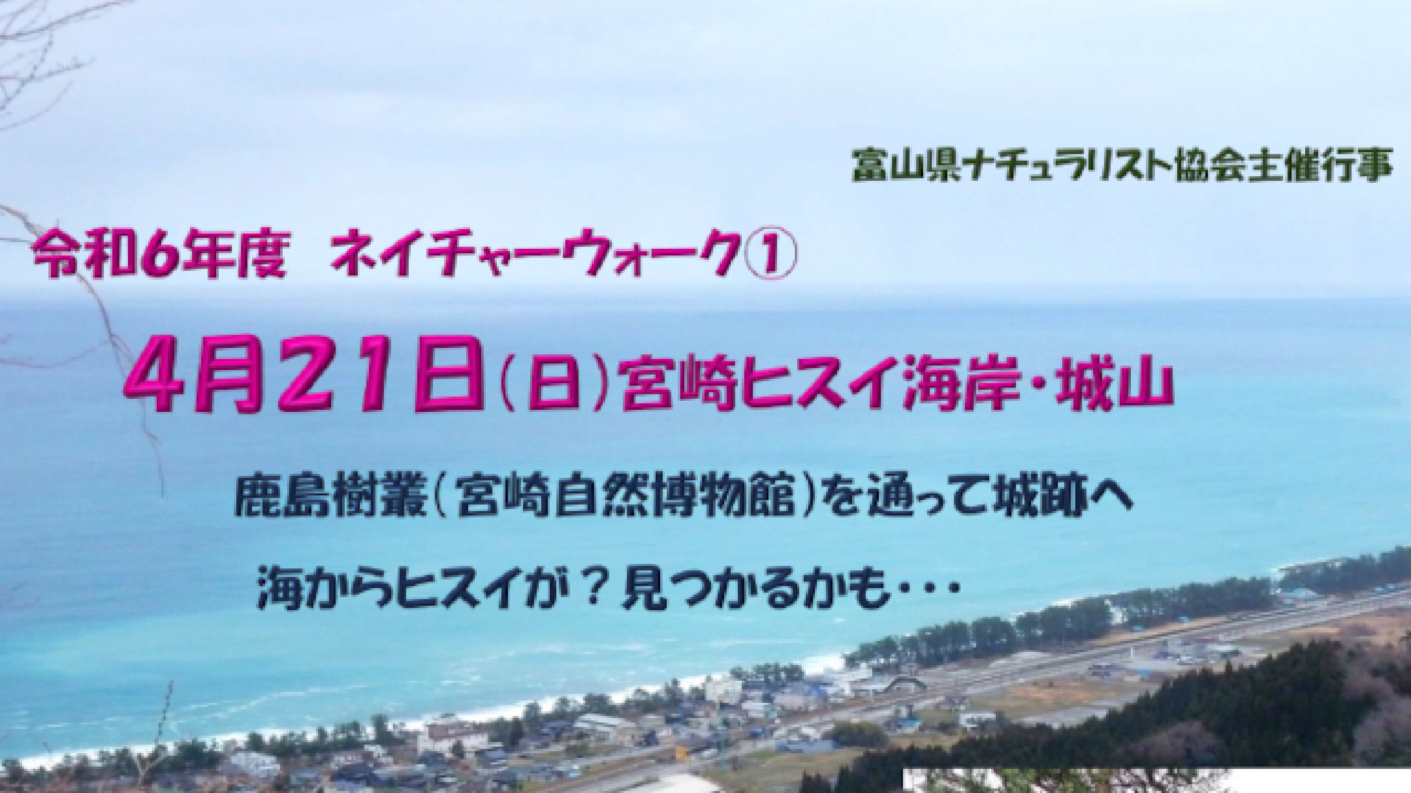 ネイチャーウォーク①