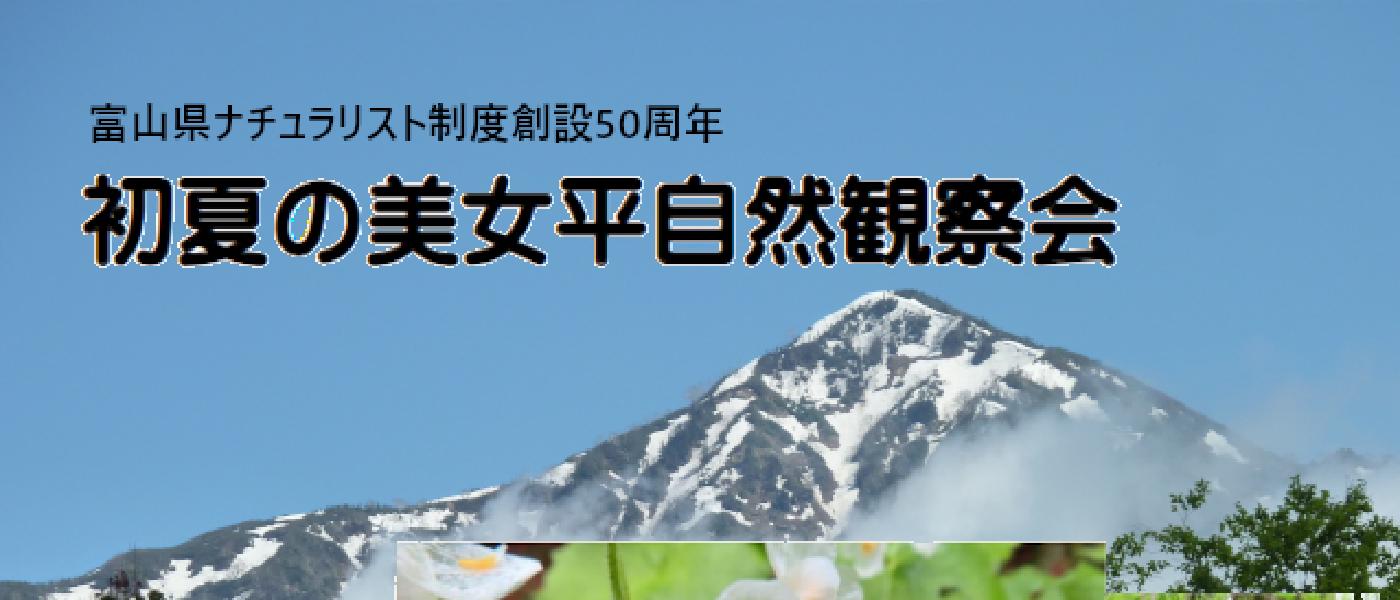 初夏の自然観察会