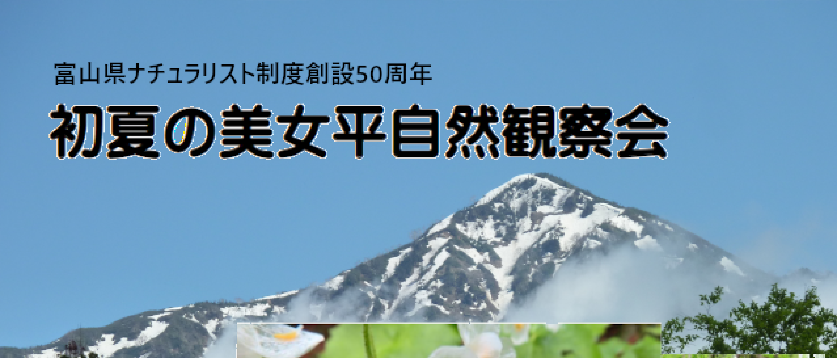 初夏の自然観察会