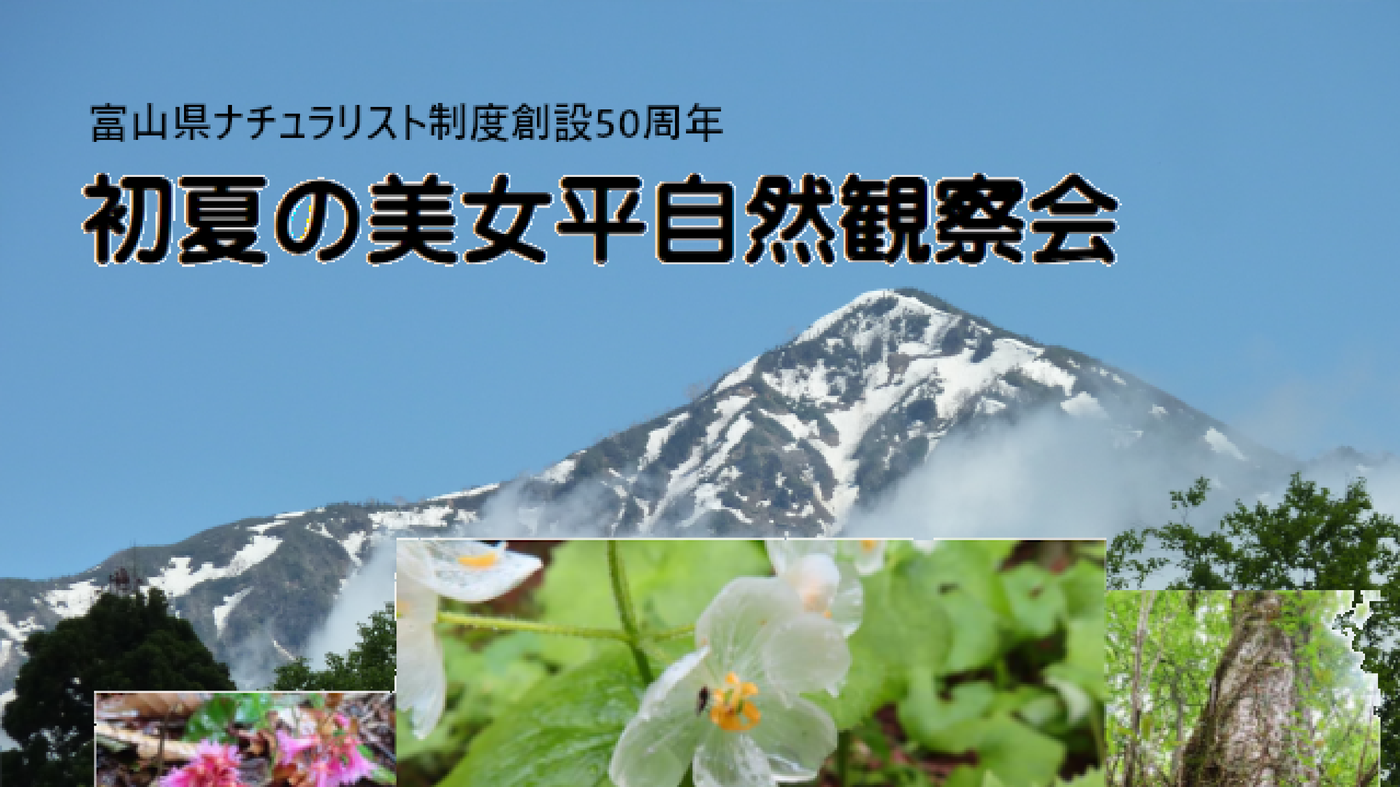 初夏の自然観察会