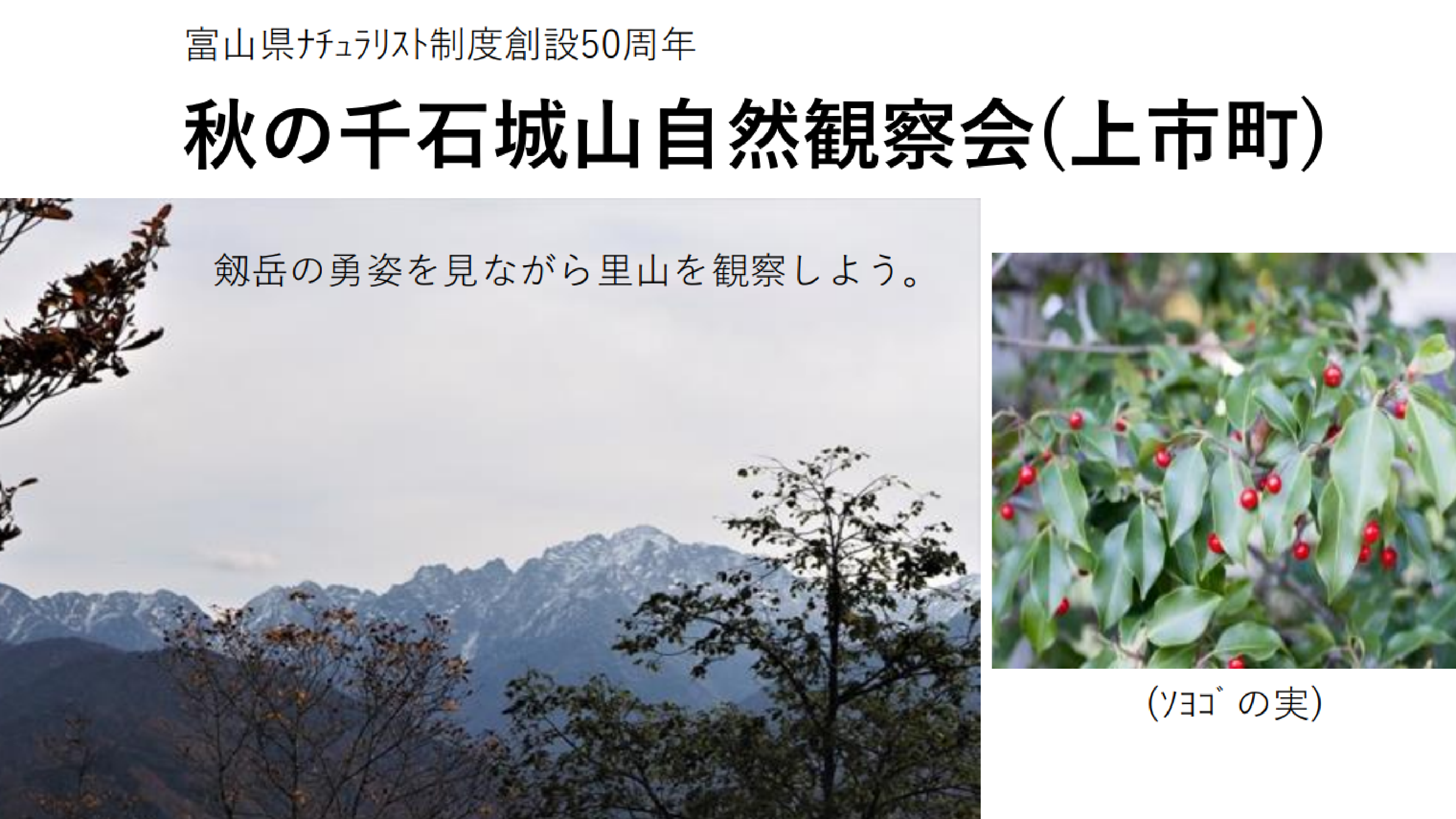 秋の自然観察会