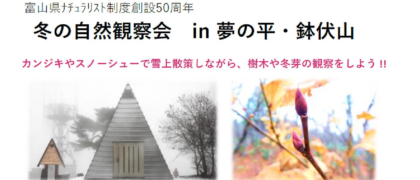 冬の自然観察会