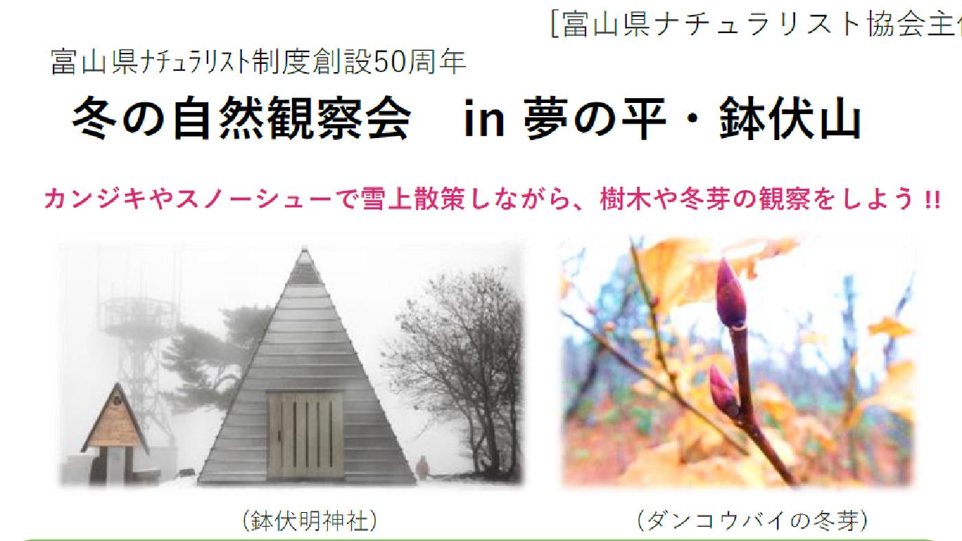 冬の自然観察会