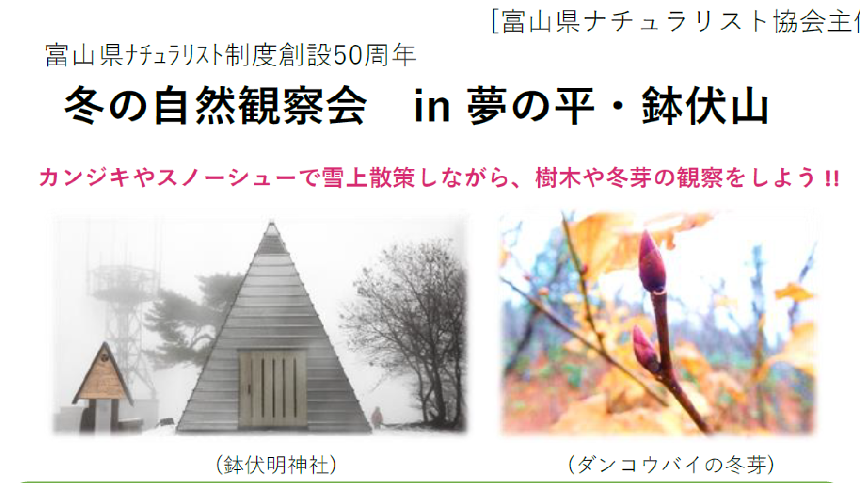 冬の自然観察会