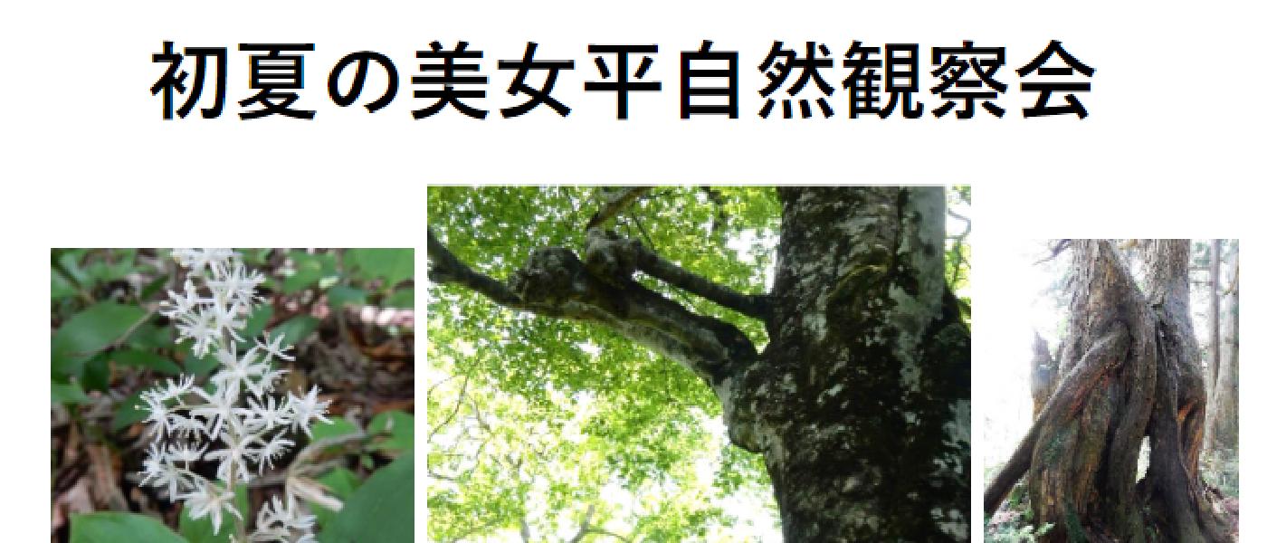 初夏の美女平自然観察会