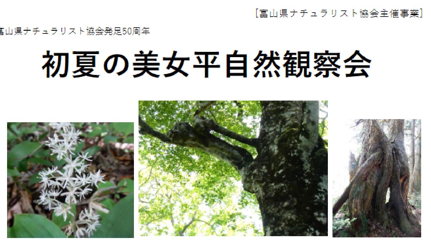 初夏の美女平自然観察会