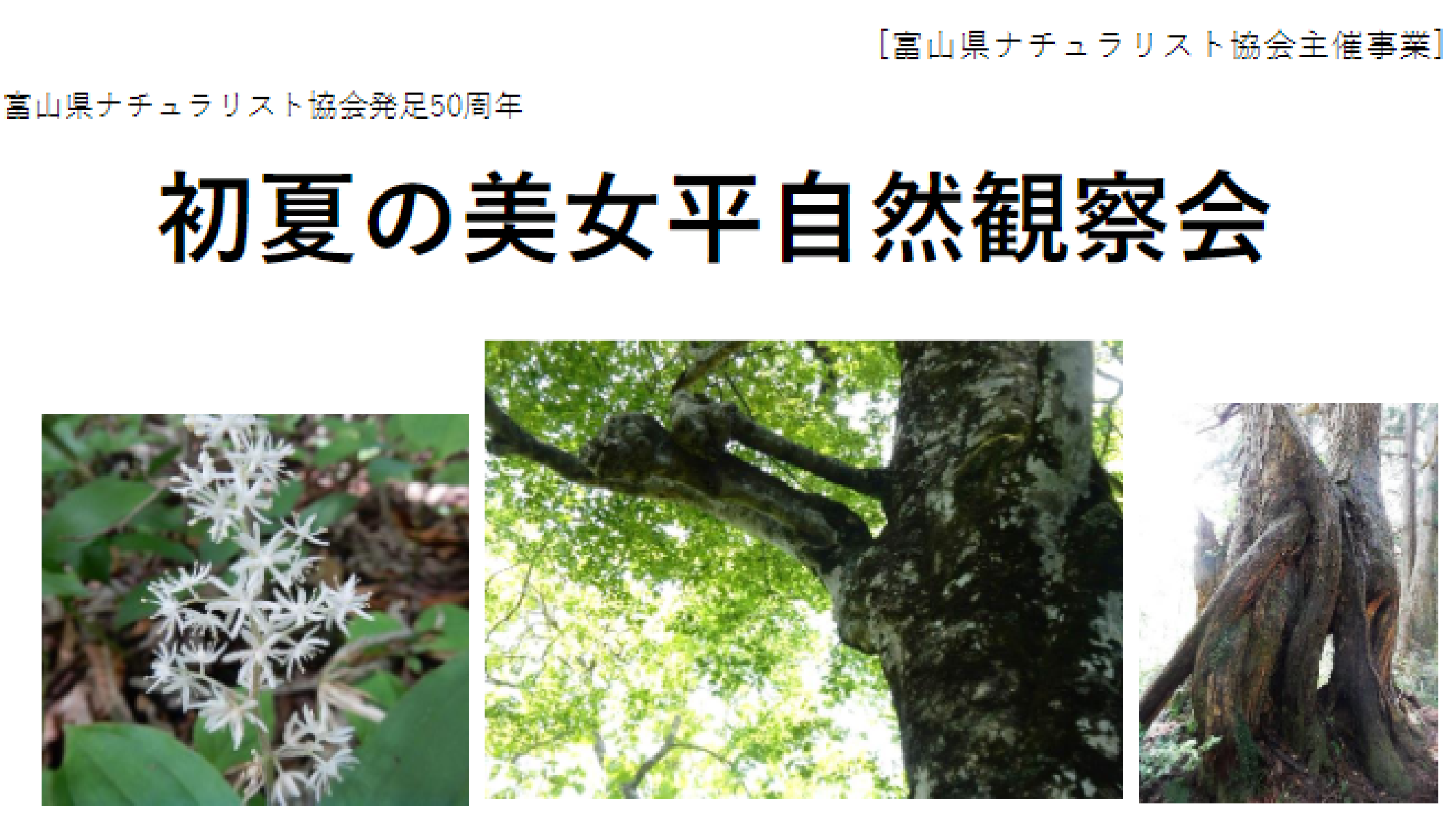 初夏の美女平自然観察会