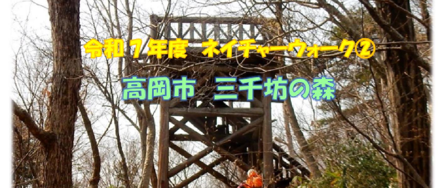 ネイチャーウォーク②