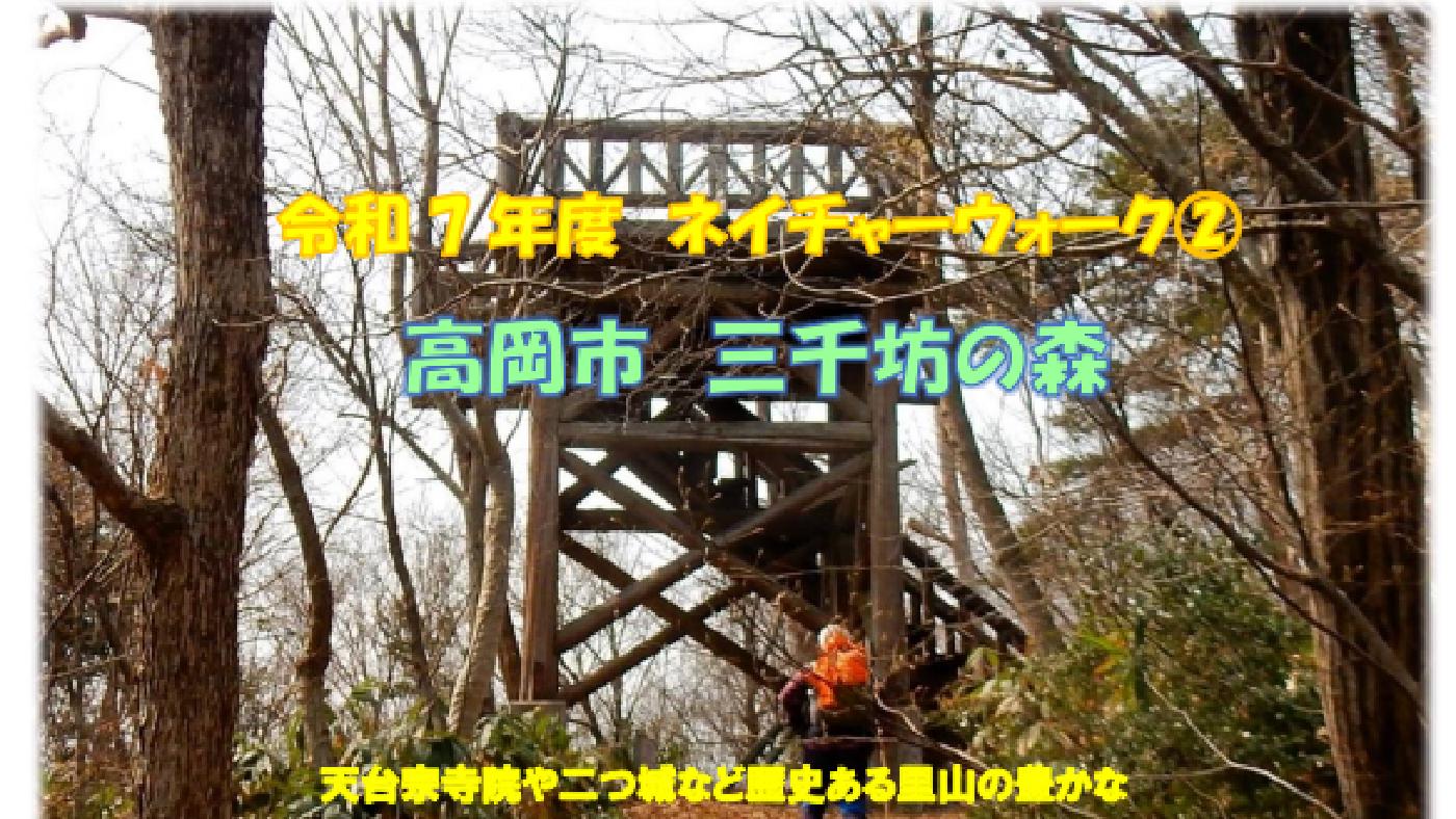 ネイチャーウォーク②