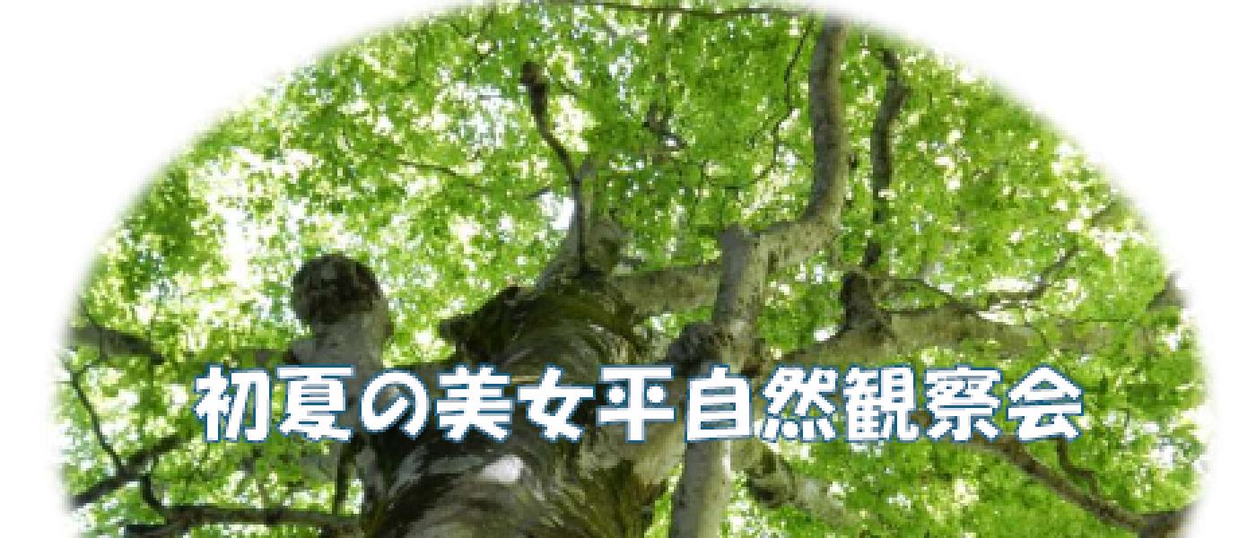 初夏の自然観察会