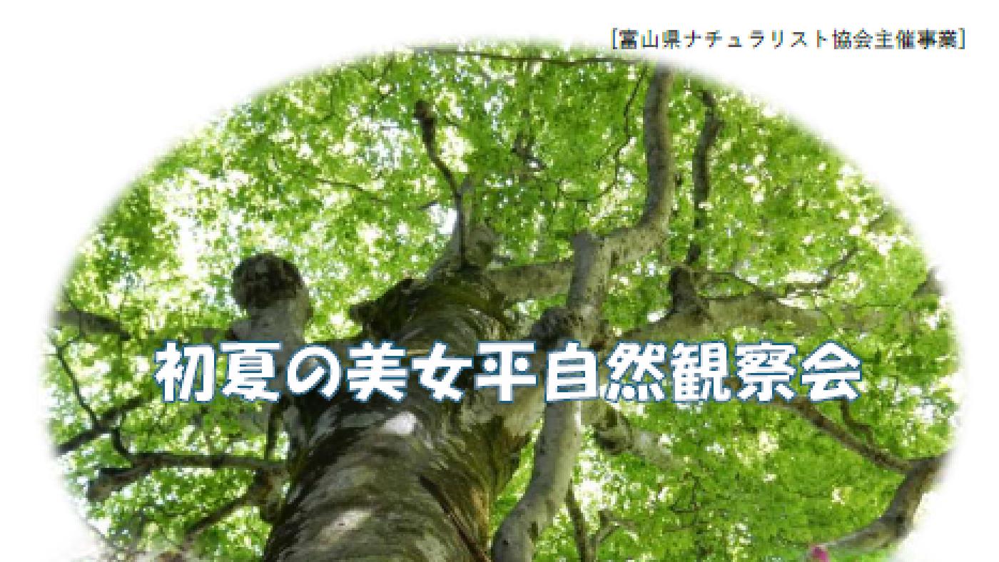 初夏の自然観察会