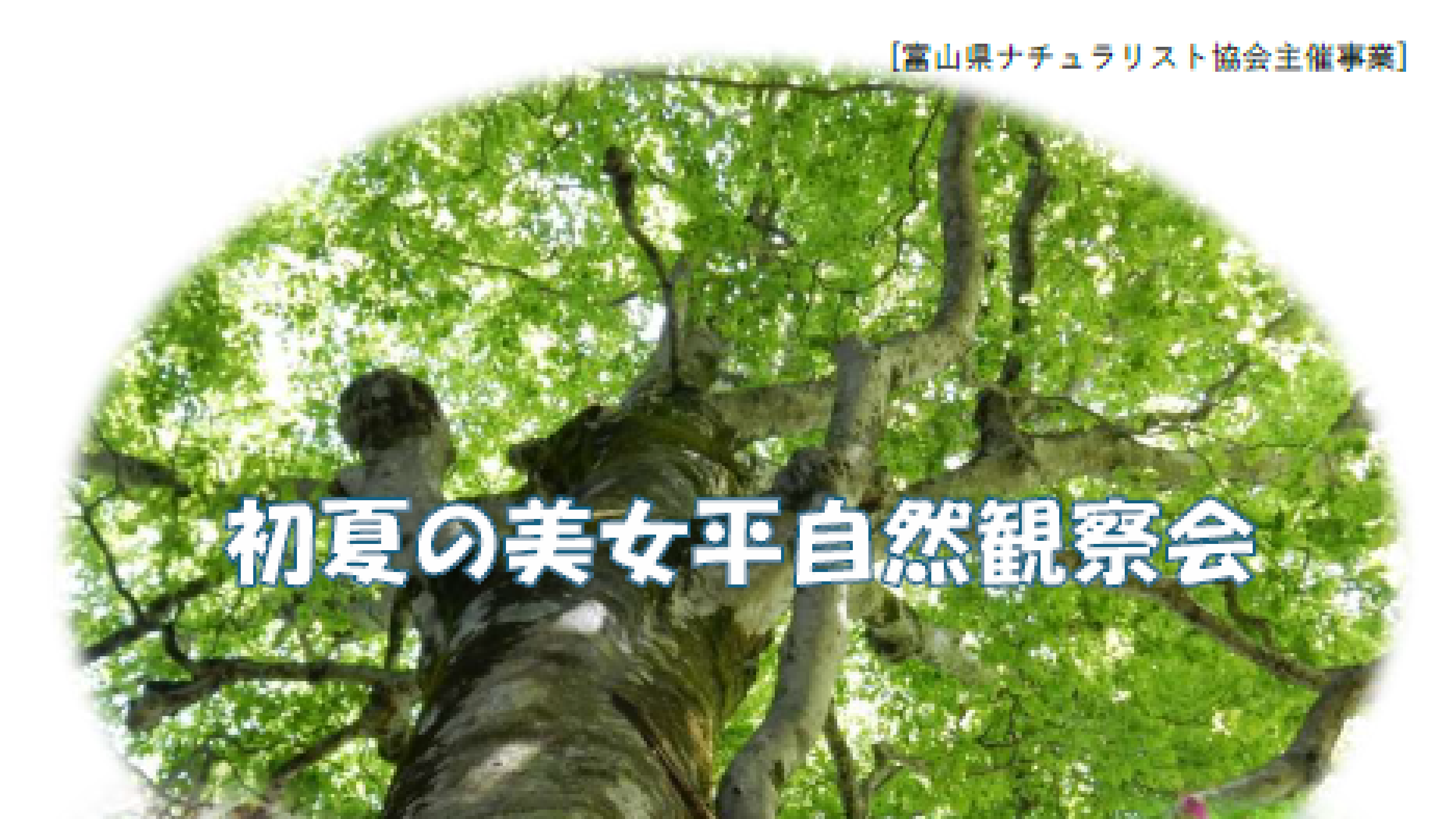 初夏の自然観察会