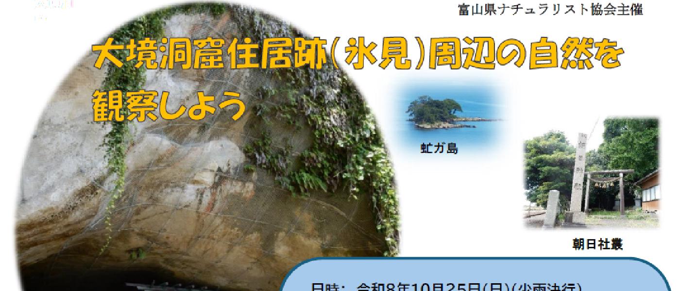 観察会