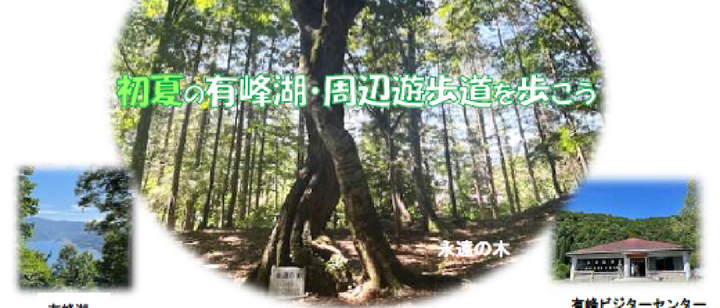 ネイチャーウォーク②