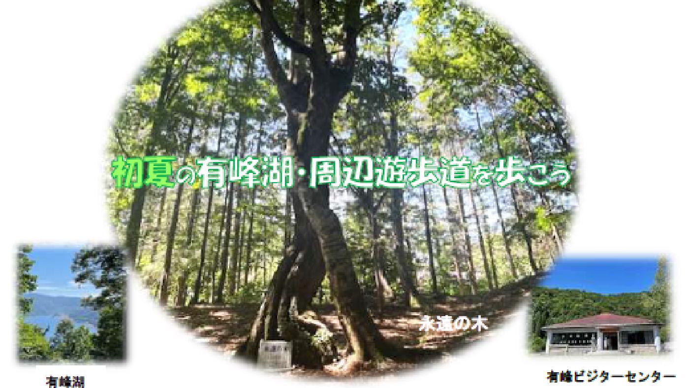 ネイチャーウォーク②